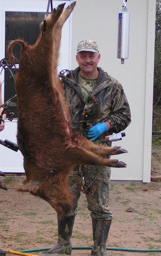 Two hunters proudly show a large boar they captured at sunrise in a forest clearing.