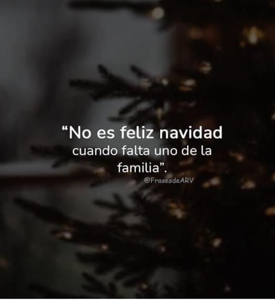 A thoughtful quote reflects on the importance of family during Christmas time.