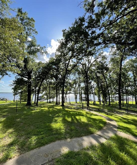 Bright sunlight shines through lush trees, creating shadows on the green grass near a serene lake.