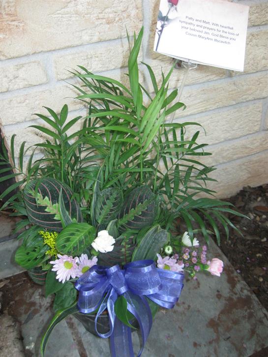 A lush arrangement features vibrant greens and delicate flowers, enhancing the entrance's charm.