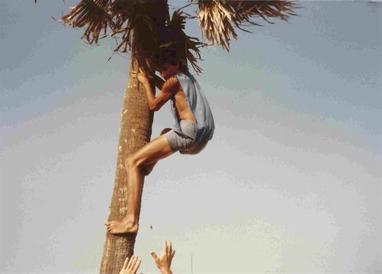 A young boy enthusiastically climbs a tall palm tree while friends reach up excitedly.