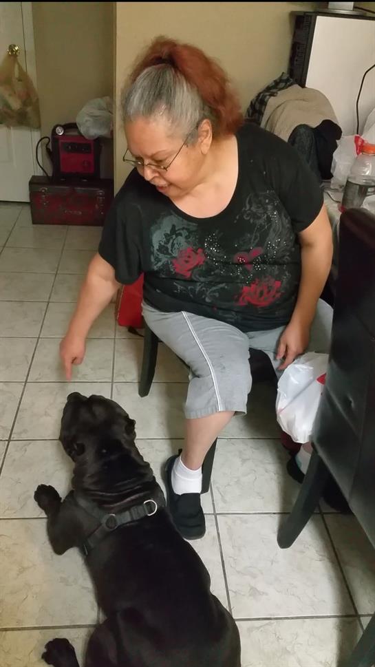 An elderly woman sits on a chair, reaching out to her dog in a warm living space.
