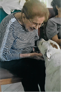 An elderly woman laughs and pets a friendly dog in a warm living room environment.