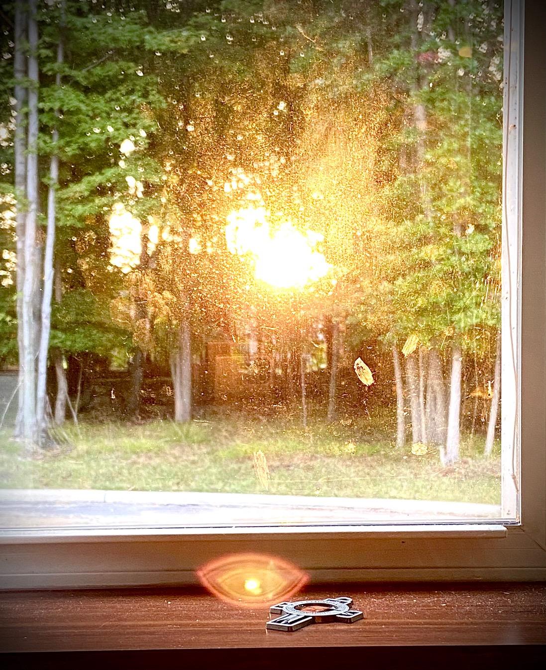 Sunrise casts a warm glow through a window, illuminating trees and creating a serene atmosphere.