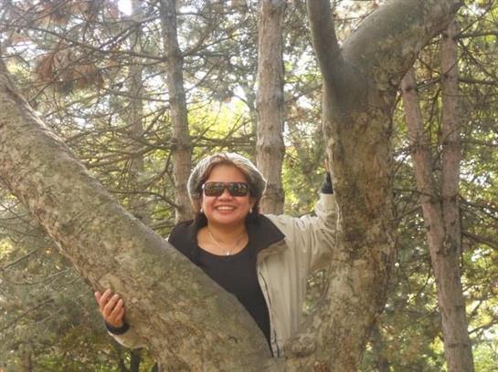 A woman smiles while perched on a tree branch surrounded by greenery.