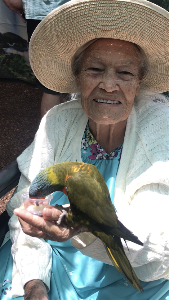 A joyful elderly woman sits outdoors, feeding a vibrant bird from a small cup in her hand.