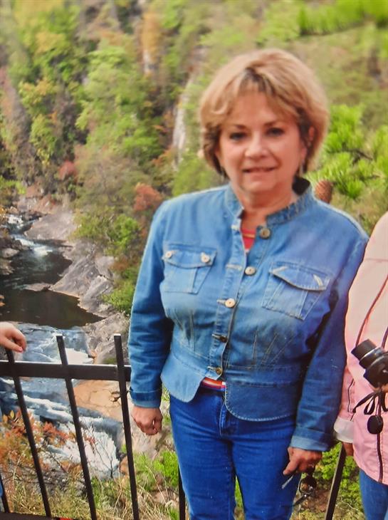 Two people stand together near a railing, enjoying the beautiful waterfall landscape in a park.