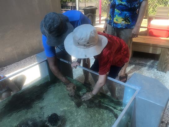 Kids engage with marine life at a touch tank, discovering various sea creatures together.