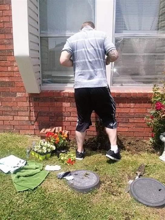 Person tends to a flower bed in a neat backyard, planting flowers and organizing gardening tools.