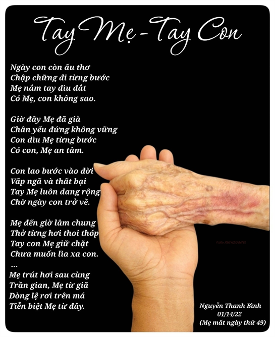 Tender hands of a mother and child reflect a deep bond, symbolizing love and support through life.