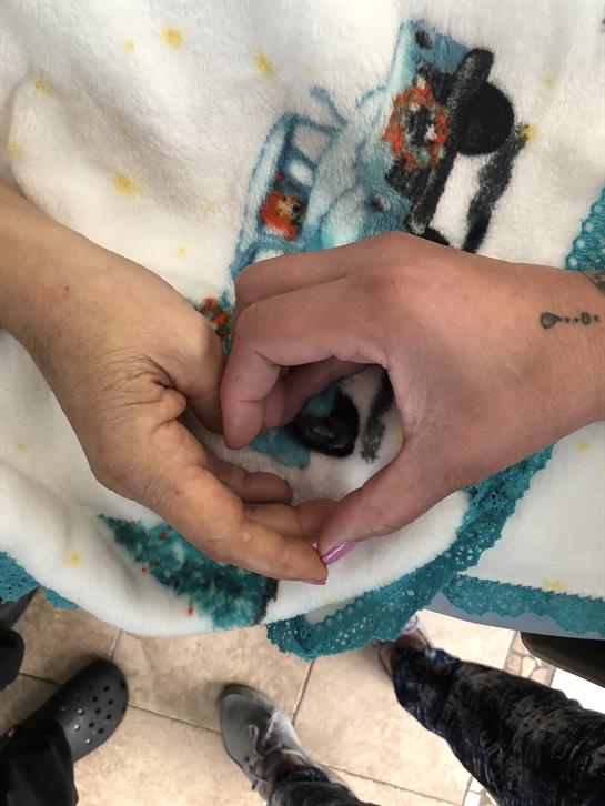 Hands gently cradle a small, newly rescued puppy who is being cared for in a shelter.