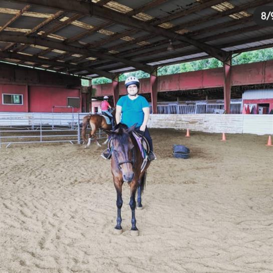 Rider in a blue shirt practices horseback riding in an indoor arena with other horses nearby.