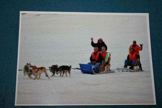 Group rides on a sled pulled by dogs across a vast snowy landscape, enjoying the chilly winter day.