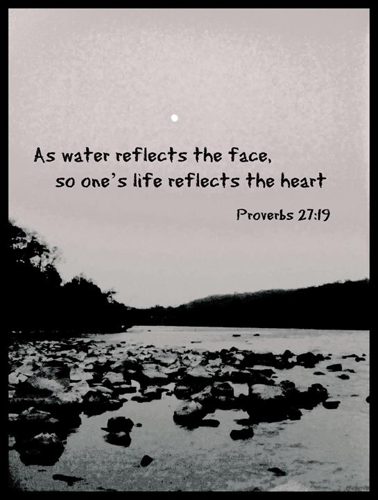 A serene river scene reflects nature's beauty and depth of life.