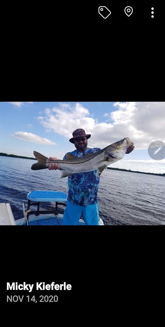 A man proudly displays a large shark he caught while fishing on a clear day.