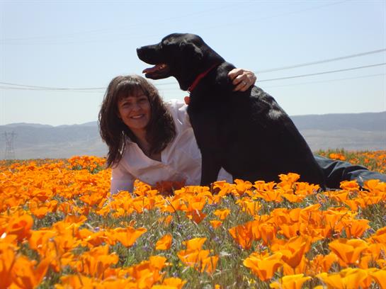 A woman lies among bright orange flowers, smiling and playing with her black dog in the sun.