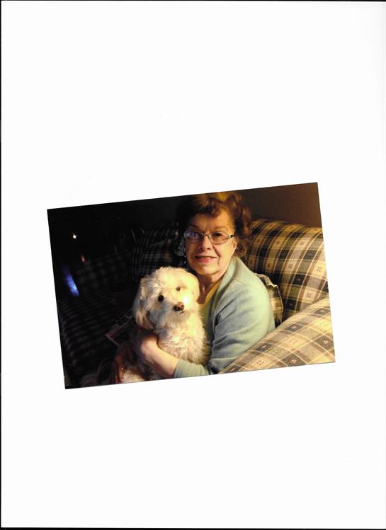 A senior woman joyfully holds her small fluffy dog on a sofa, enjoying a warm evening indoors.