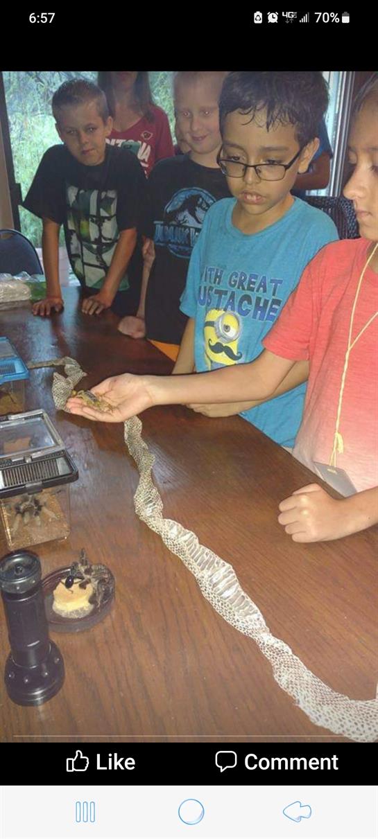 Kids engage with wildlife during a hands-on learning activity about reptiles and insects.