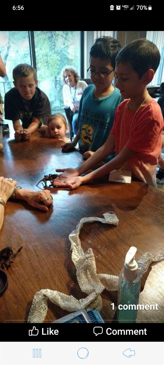 Participants engage in a hands-on learning experience about scorpions, observing closely.