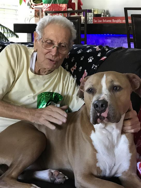 An elderly man relaxes at home, petting his dog while sitting comfortably on a sofa.