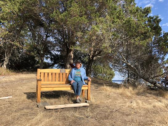 Individual enjoys peaceful moment on a bench surrounded by trees and grassy landscape.