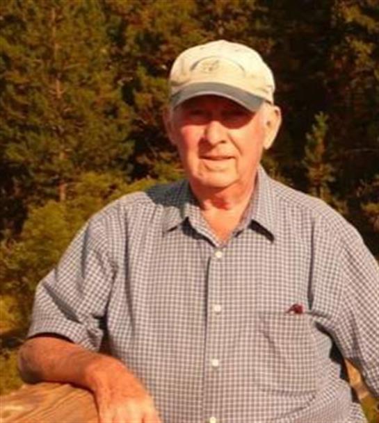 An elderly man stands relaxed in a forest setting, surrounded by lush greenery during golden hour.