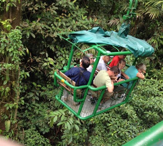 Tourists explore vibrant rainforest canopy aboard a green cable car in a tropical setting.