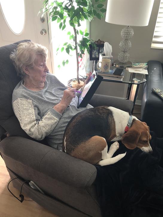 Woman relaxed in an armchair uses a tablet as her dog lies contentedly beside her.