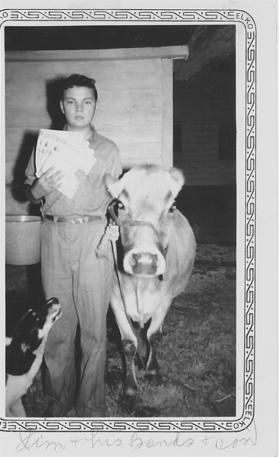 A boy holds documents while leading a cow in a rustic barn at dusk with a dog nearby.