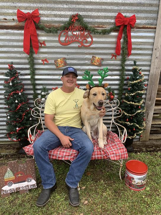A man in a yellow shirt and reindeer antlers sits with a dog on a bench decorated for Christmas.