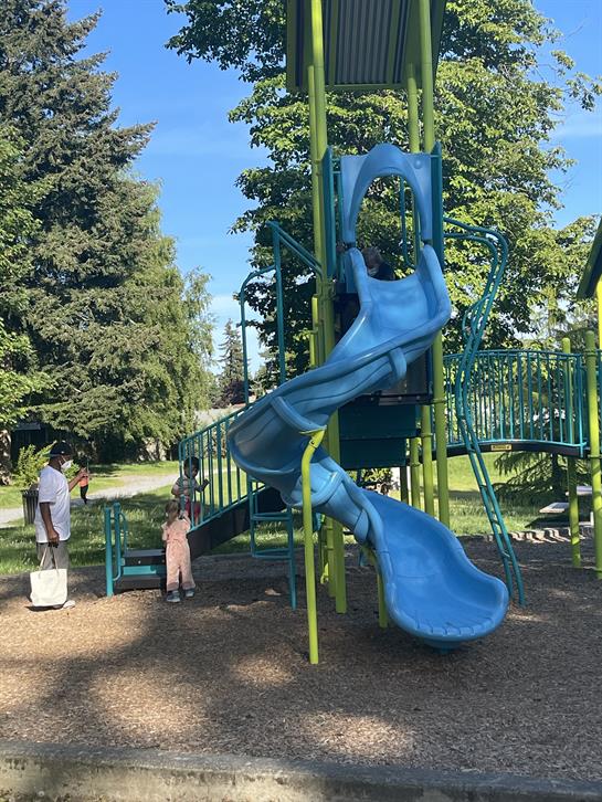 Two children enjoy sliding down a bright blue playground slide in a lush park setting.