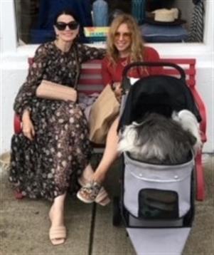 Two women enjoy a leisurely day at a cafe with a dog comfortably nestled in a stroller.