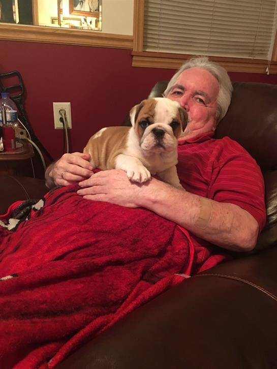 A man enjoys quiet moments on the couch with a bulldog puppy, wrapped in a blanket.