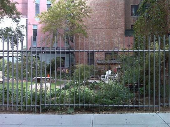 Lush greenery is visible behind an iron fence in a vibrant city neighborhood setting.
