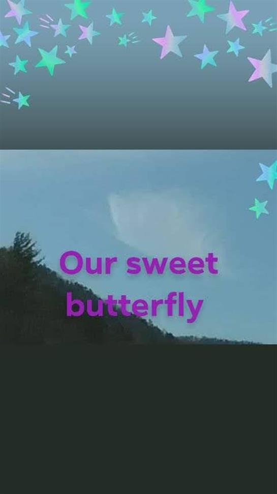 Colorful butterfly effortlessly glides through the bright blue sky over rolling hills and trees.