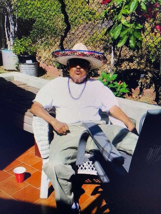 A man sits comfortably in a chair, enjoying the sunny weather in a garden with plants.