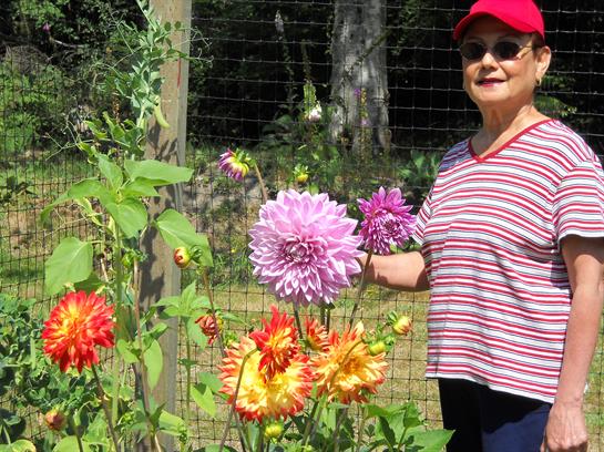 An elderly woman smiles while picking vibrant flowers in a lively garden filled with color.