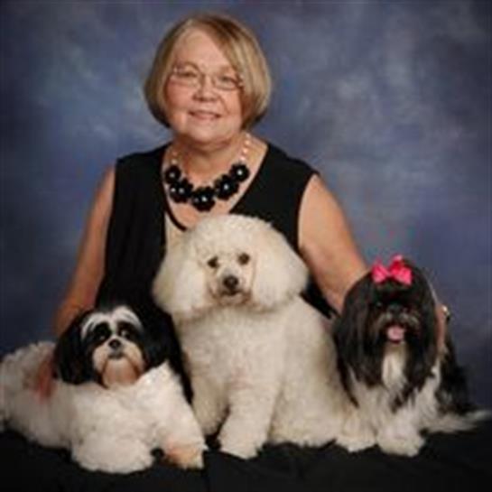 A woman sits with three fluffy dogs, showcasing their joy in a vibrant studio backdrop.