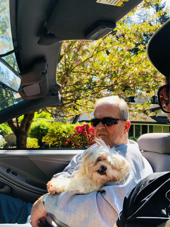 Senior man in sunglasses relaxes in a convertible with a small dog on his lap.
