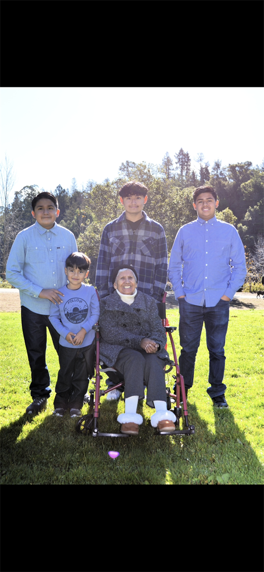 Grandmother seated in a wheelchair surrounded by her four grandsons in a lush green park.