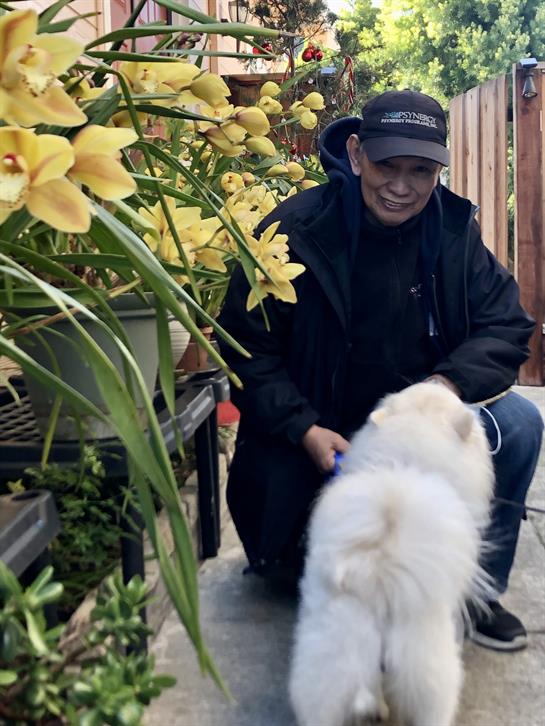 A man kneels in a garden filled with vibrant yellow flowers while playing with a fluffy white dog.