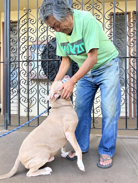 A man affectionately pets his dog while standing by a decorative wrought iron fence in the city.