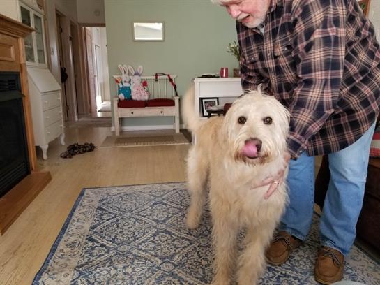 A person gently pets a fluffy dog while standing in a warm, inviting room.