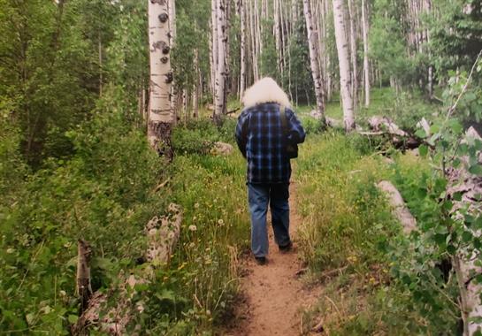 Individual strolls along a narrow trail in a vibrant forest filled with greenery.