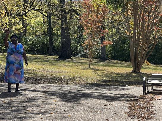 A woman strolls along a winding path surrounded by vibrant trees and green foliage on a sunny day.