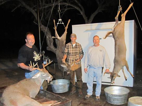 Three men gather around deer hanging from hooks in a processing area under night sky.