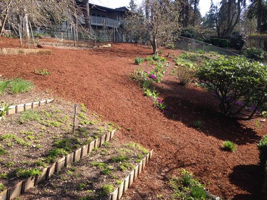 Fresh mulch enhances the garden, showcasing new plants in a suburban setting.