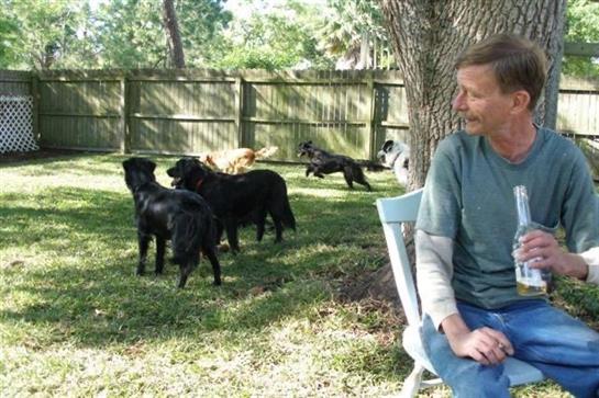 A person sits calmly on a chair, watching several playful black dogs frolic in the grass.