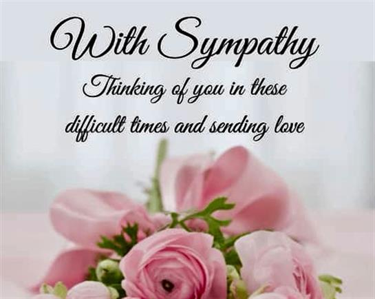 A card expresses sympathy with a gentle message alongside beautiful pink flowers.