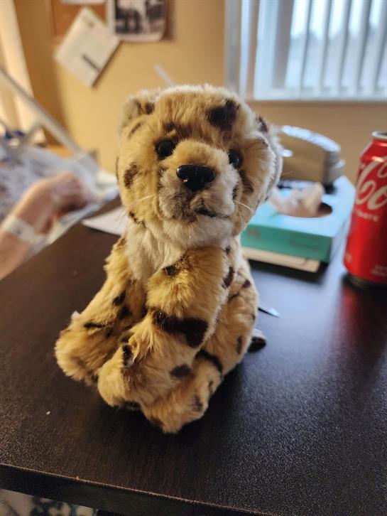 A stuffed animal on a table